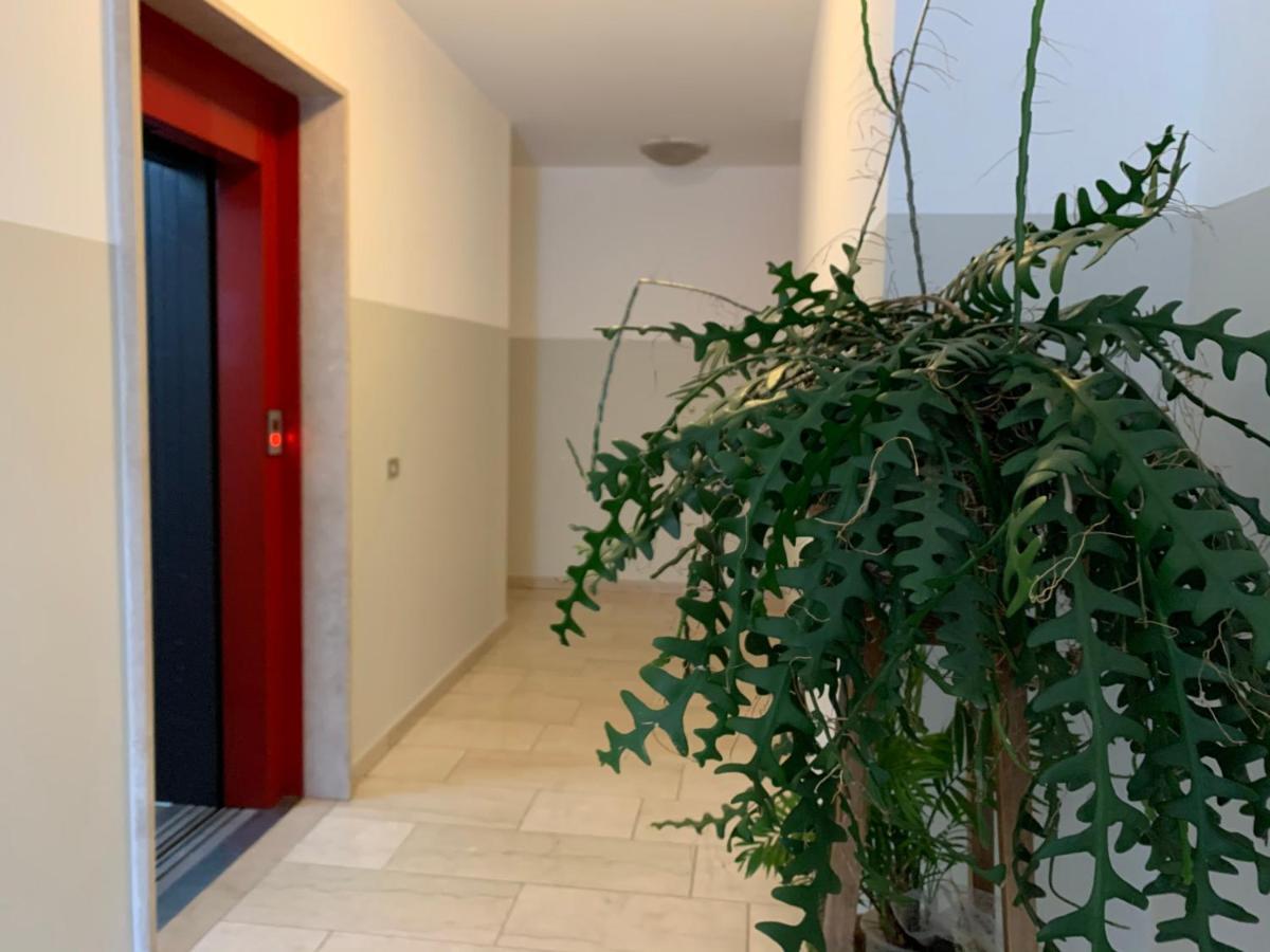 B&B Verona Business And Fun G B Rossi Friendly מראה חיצוני תמונה